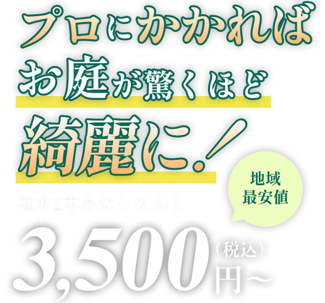 プロにかかればお庭が驚くほど綺麗に！庭木1本あたりなんと3,500円（税込）～