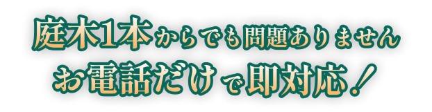 庭木1本からでも問題ありません。お電話だけで即対応